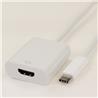 iCAN Premium USB 3.1 Type C Male to UltraHD HDMI 2.0 4K Female adapter