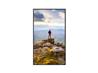 SHARP 43" Class Commercial LCD Display - (PN-E439)