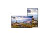 SHARP 43" Class Commercial LCD Display - (PN-E439)