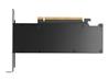 PNY NVIDIA RTX PRO 2000 BLACKWELL 16GB GDDR7 PCI Express 5.0 x8