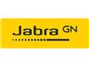 Jabra Evolve 65 TE USB-A UC Mono