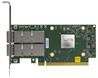 Lenovo  Adaptateur Ethernet ThinkSystem Mellanox ConnectX-6 Dx 100GbE