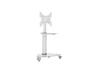 Tripp Lite  Premier Rolling TV Cart - (DMCS3255SG62W)