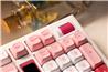 Akko 5098B Customizable Tri-Mode Mechanical Keyboard, Classic Pink Opt