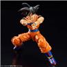 BANDAI Hobby Figure-Rise Standard Son Goku New Spec Ver. "Dragon Ball Z" | Kit d'assemblage simple | Pas de peinture | S'aju...