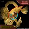 BANDAI Hobby Figure-rise Standard Amplified -EGYPTIAN GOD- THE WINGED DRAGON OF RA  "Yu-Gi-Oh!!"Kit de modélisation
