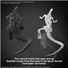 BANDAI Hobby GODZILLA (2024) “Godzilla x Kong: The New Empire" Kit de modélisation