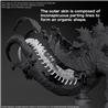 BANDAI Hobby GODZILLA (2024) “Godzilla x Kong: The New Empire" Kit de modélisation