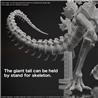 BANDAI Hobby GODZILLA (2024) “Godzilla x Kong: The New Empire" Kit de modélisation