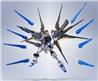 BANDAI Metal Robot Spirits <SIDE MS> Strike Freedom Gundam