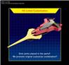 BANDAI SD Gundam EX-Standard #17 Sazabi 'Char's Counterattack' Model kit