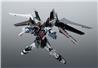 Robot Spirits GAT-X105E＋AQM/E-X09S Strike Noir Gundam Ver. A.N.I.M.E