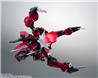 Tamashii Robot Spirits GAT-X303 Aegis Gundam ver. A.N.I.M.E