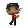 POP Golf: Tiger Woods(swing)