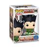 FUNKO POP Animation: Hunter X Hunter - Gon Freecss (Sit)