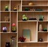 LEGO Icons Ensemble de plantes succulentes et de fleurs pour adultes,