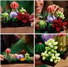 LEGO Icons Ensemble de plantes succulentes et de fleurs pour adultes,