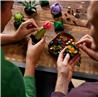 LEGO Icons Ensemble de plantes succulentes et de fleurs pour adultes,