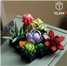 LEGO Icons Ensemble de plantes succulentes et de fleurs pour adultes,