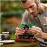 LEGO Le bonsaï 10281 Ensemble de construction (878 pièces)LEGO Botanic