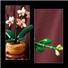 LEGO Botanicals Mini Orchid Plant Gift 10343