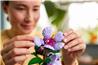 LEGO Botanicals Hibiscus Flower Building Set for Adults 10372