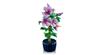LEGO Botanicals Hibiscus Flower Building Set for Adults 10372