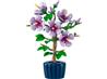 LEGO Botanicals Hibiscus Flower Building Set for Adults 10372