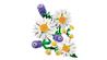 LEGO Botanicals Daisies Flower Decor 11508