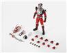 Tamashii S.H.Figuarts MASKED RIDER RYUKI SHINKOCCHOU SEIHOU