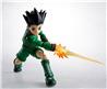 TAMASHII NATIONS S.H.Figuarts GON HUNTER X HUNTER