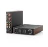 FIIO LEVEL 1 High-Res Audio Power Amplifier, Black