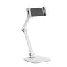 iCAN PAD39-02 Simplicity Universal Phone/Tablet Tabletop Stand