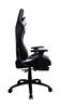 iCAN Ergonomic Gaming Chair