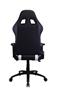iCAN Ergonomic Gaming Chair