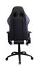 iCAN Ergonomic Gaming Chair
