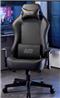 iCAN AR-601 Ergonomic Gaming Chair