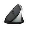 Rapoo EV250 Ergonomic Silent Wireless Mouse(Open Box)