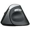 Rapoo EV250 Ergonomic Silent Wireless Mouse(Open Box)