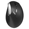 Rapoo EV250 Ergonomic Silent Wireless Mouse(Open Box)