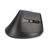 Delux M618DB Wireless Optical Ergonomic Mouse, RGB Light(Open Box)