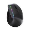 Delux M618DB Wireless Optical Ergonomic Mouse, RGB Light(Open Box)