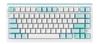 Clavier de jeu mécanique RVB tri-mode DAREU EK81 Max, taille compacte(Open Box)