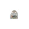 iCAN CAT.6 40ft 24AWG 1Gbps White