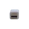 iCAN Adaptateur Mac Mini DisplayPort mâle vers SVGA femelle