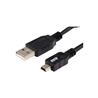 iCAN USB 2.0 Type-A Male to Mini B Male Cable, 10ft