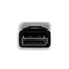 iCAN Passive DisplayPort 1.2 to HDMI 4K Adapter, Male to Female, Black