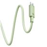 Câble de charge rapide Baseus Habitat Series USB Type-C vers Type-C 100W, 2 m (6,6 pi), Vert Naturel