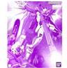 P-BANDAI MG 1/100 DESTINY IMPULSE GUNDAM R (REGENES)