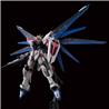 P-BANDAI RG 1/144 THE GUNDAM BASE ZGMF-X10A FREEDOM GUNDAM Ver.GCP